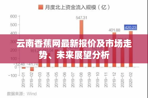云南香蕉网最新报价及市场走势、未来展望分析