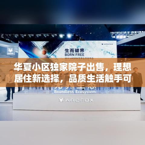 举止娴雅