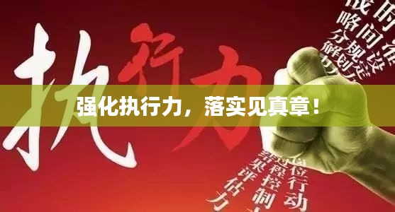 强化执行力，落实见真章！