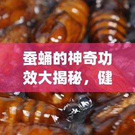 作舍道边