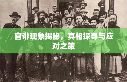 官诽现象揭秘，真相探寻与应对之策