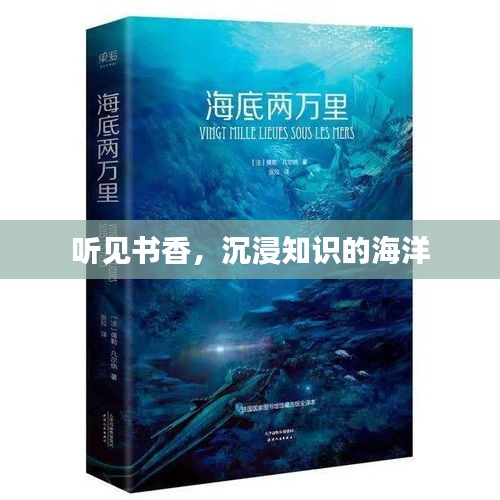 听见书香，沉浸知识的海洋