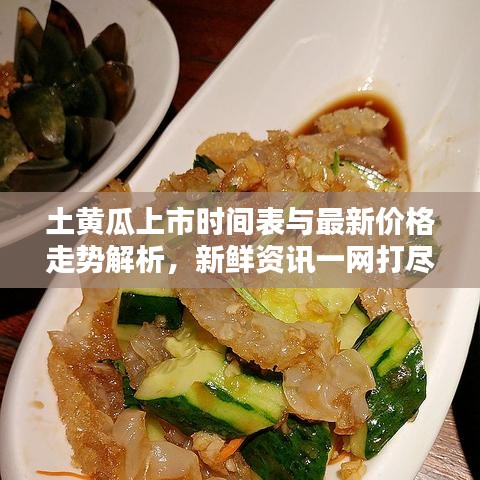 土黄瓜上市时间表与最新价格走势解析，新鲜资讯一网打尽！