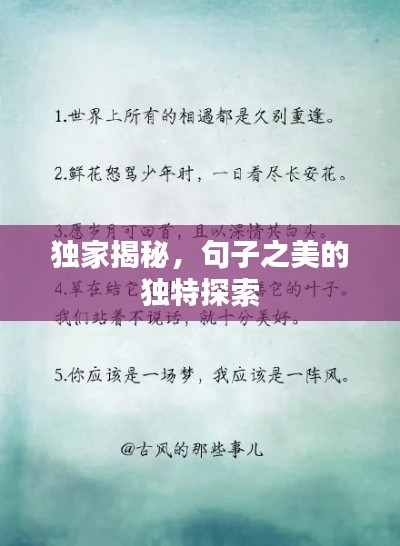 独家揭秘，句子之美的独特探索