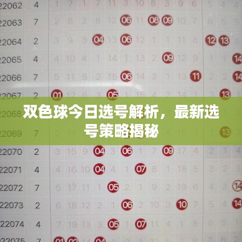 双色球今日选号解析，最新选号策略揭秘