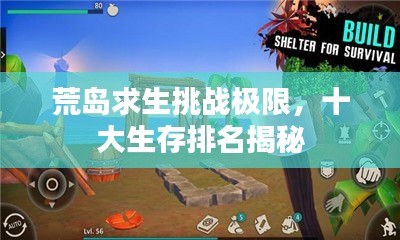 荒岛求生挑战极限，十大生存排名揭秘