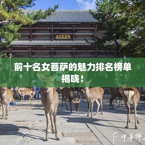 前十名女菩萨的魅力排名榜单揭晓！