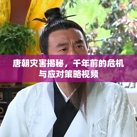 张睢阳齿