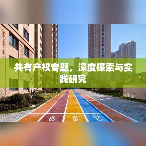 共有产权专题，深度探索与实践研究