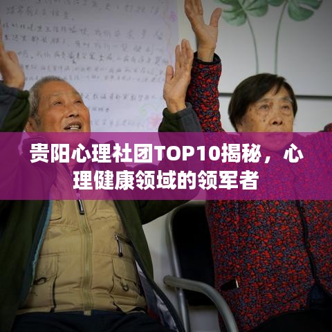贵阳心理社团TOP10揭秘，心理健康领域的领军者