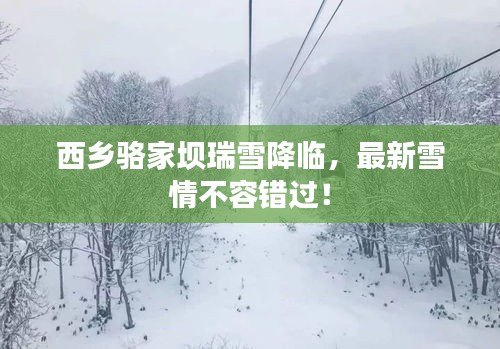 西乡骆家坝瑞雪降临，最新雪情不容错过！