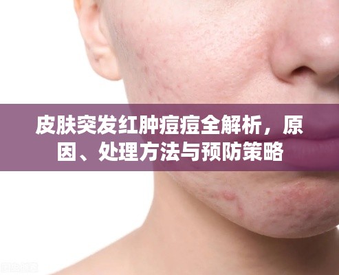 皮肤突发红肿痘痘全解析，原因、处理方法与预防策略