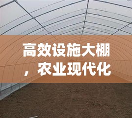 高效设施大棚，农业现代化的里程碑新篇章开启
