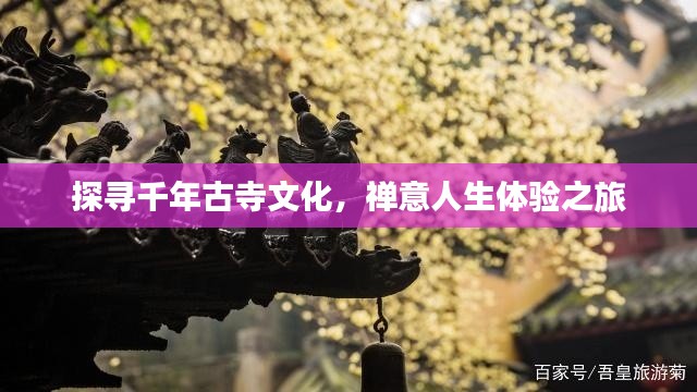 指手画脚