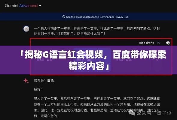 「揭秘G语言红会视频，百度带你探索精彩内容」