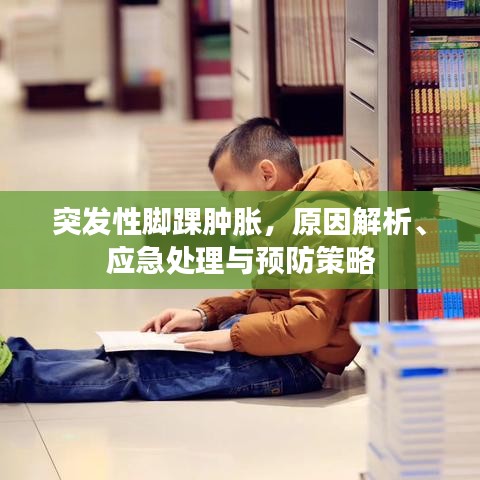 乌鸟之情