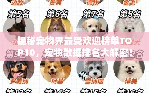 揭秘宠物界最受欢迎榜单TOP10，宠物数据排名大解密！