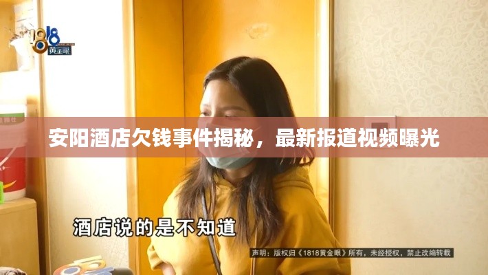 安阳酒店欠钱事件揭秘，最新报道视频曝光