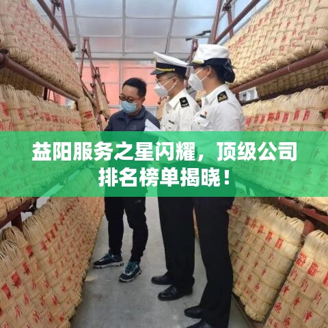 益阳服务之星闪耀，顶级公司排名榜单揭晓！
