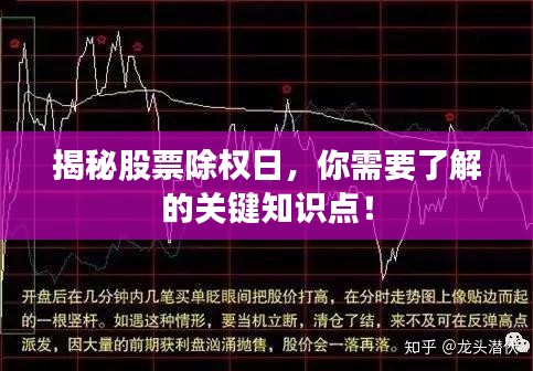 揭秘股票除权日，你需要了解的关键知识点！