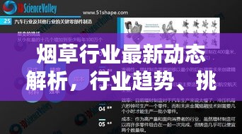 烟草行业最新动态解析，行业趋势、挑战与机遇一网打尽