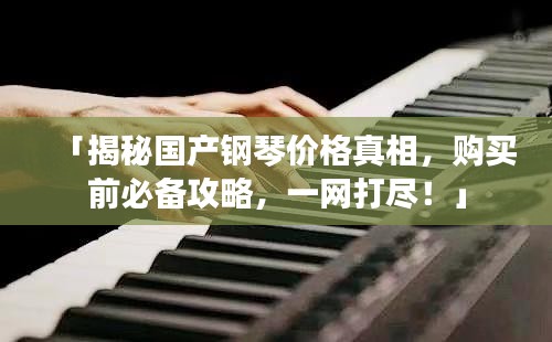「揭秘国产钢琴价格真相，购买前必备攻略，一网打尽！」
