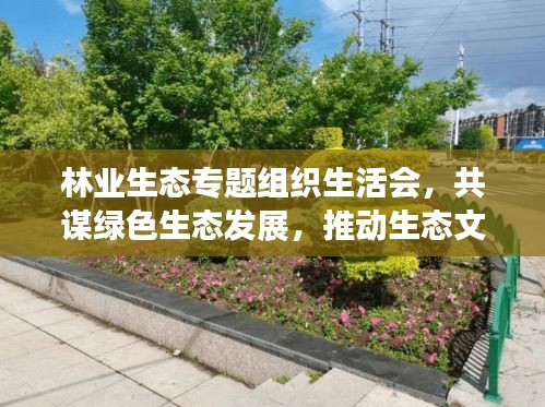 林业生态专题组织生活会，共谋绿色生态发展，推动生态文明建设新篇章
