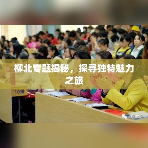 柳北专题揭秘，探寻独特魅力之旅