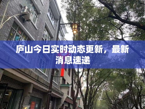 庐山今日实时动态更新，最新消息速递