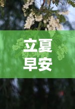 立夏早安视频，夏日温暖问候，今日与你共赏