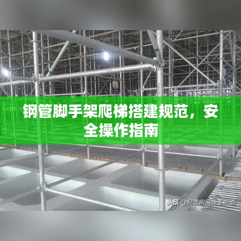 飞扬拨扈