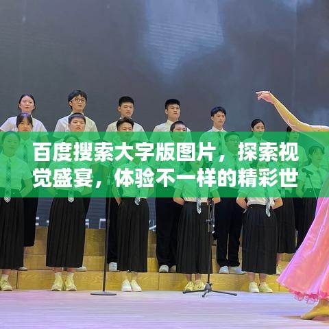 百度搜索大字版图片，探索视觉盛宴，体验不一样的精彩世界