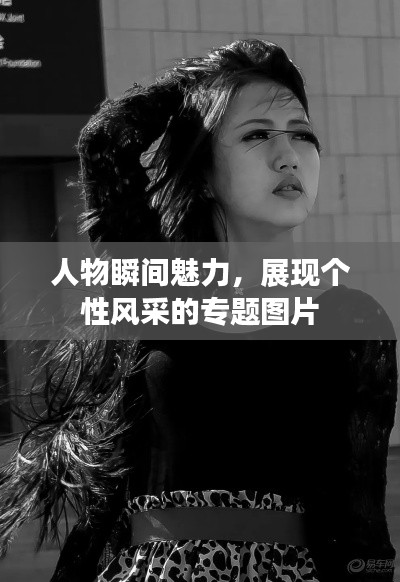纲举目张