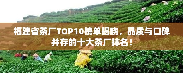 福建省茶厂TOP10榜单揭晓，品质与口碑并存的十大茶厂排名！