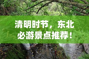 母以子贵