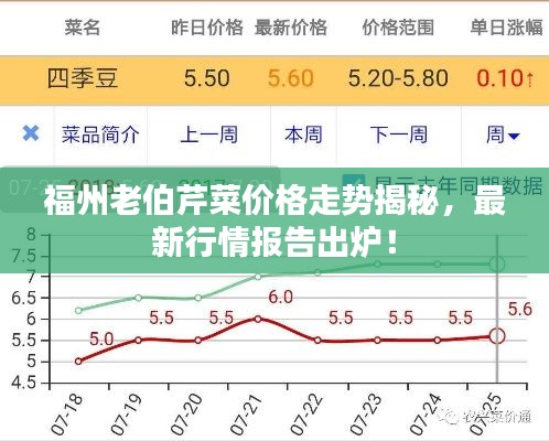 福州老伯芹菜价格走势揭秘，最新行情报告出炉！