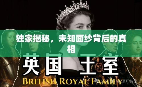 独家揭秘，未知面纱背后的真相