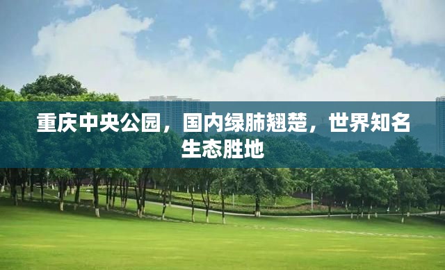重庆中央公园，国内绿肺翘楚，世界知名生态胜地