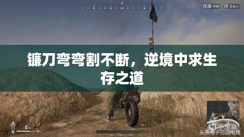 镰刀弯弯割不断，逆境中求生存之道