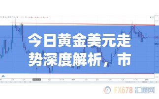 今日黄金美元走势深度解析，市场趋势与投资者应对策略