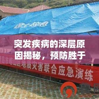 风华绝代