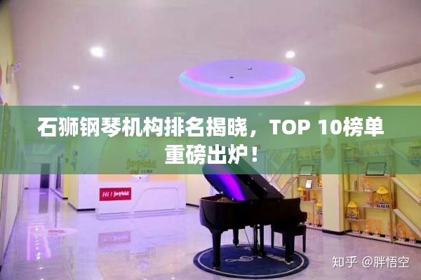 石狮钢琴机构排名揭晓，TOP 10榜单重磅出炉！