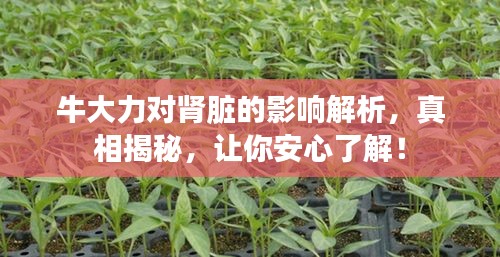 雍容尔雅