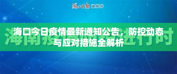 海口今日疫情最新通知公告，防控动态与应对措施全解析