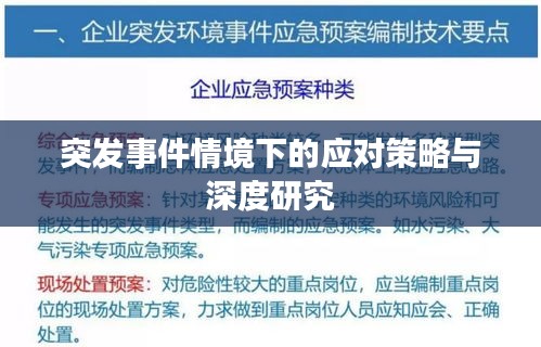 突发事件情境下的应对策略与深度研究