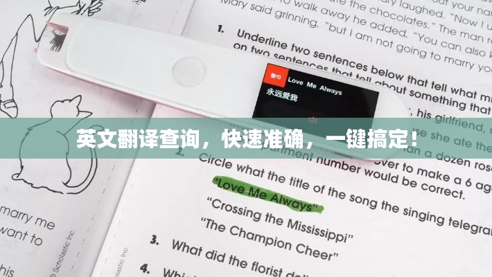 英文翻译查询，快速准确，一键搞定！