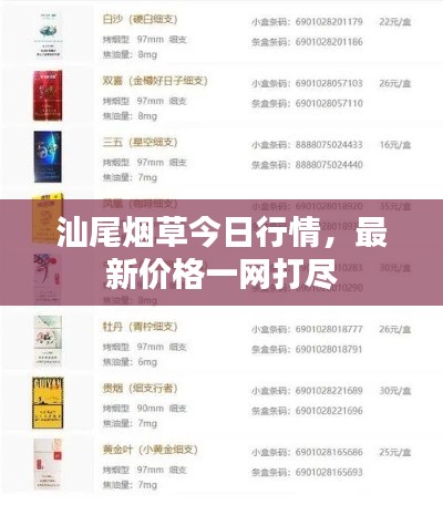 持之以恒