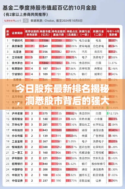 今日股东最新排名揭秘，洞悉股市背后的强大力量