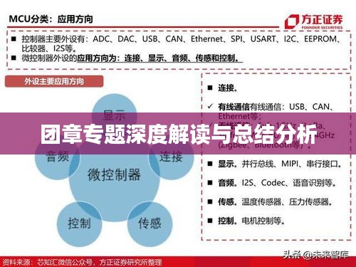 团章专题深度解读与总结分析