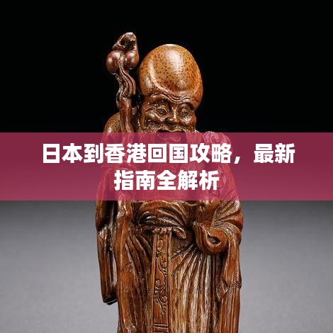 日本到香港回国攻略，最新指南全解析